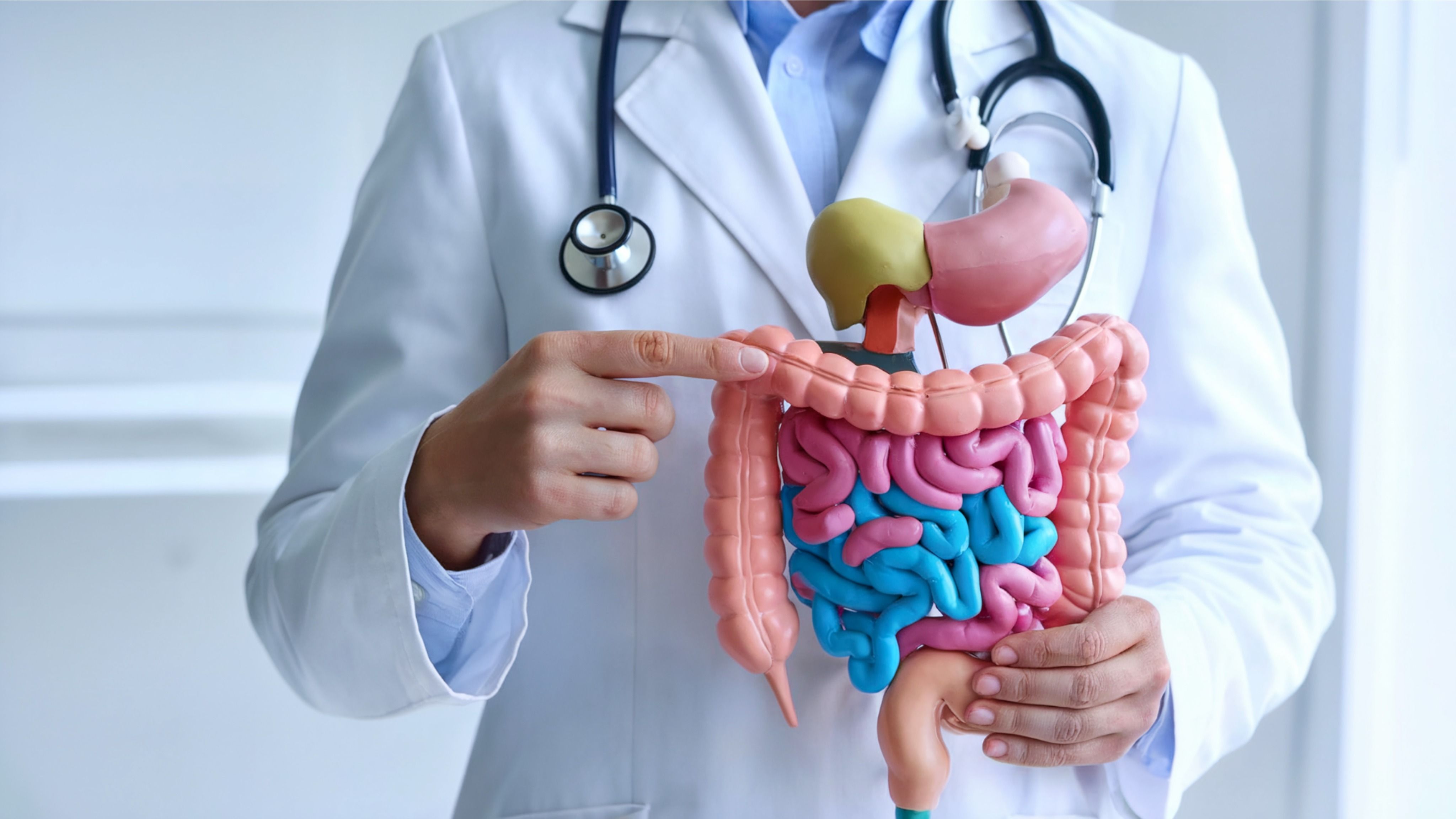 gastroenterology